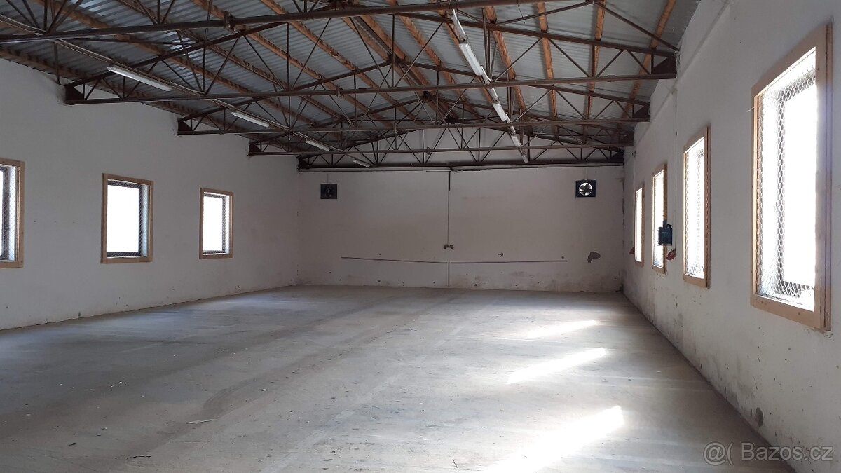 Pronájem haly – Holetín - 3