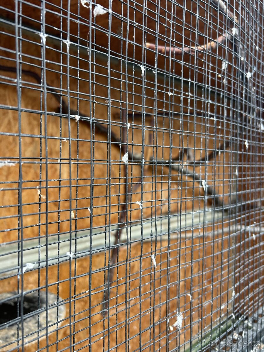 Klec voliera pro papoušky - 3