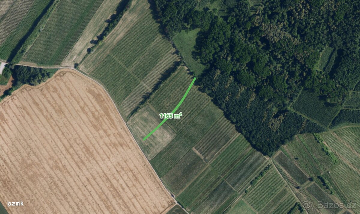 Prodej vinice 1165 m2 Josefov - 3