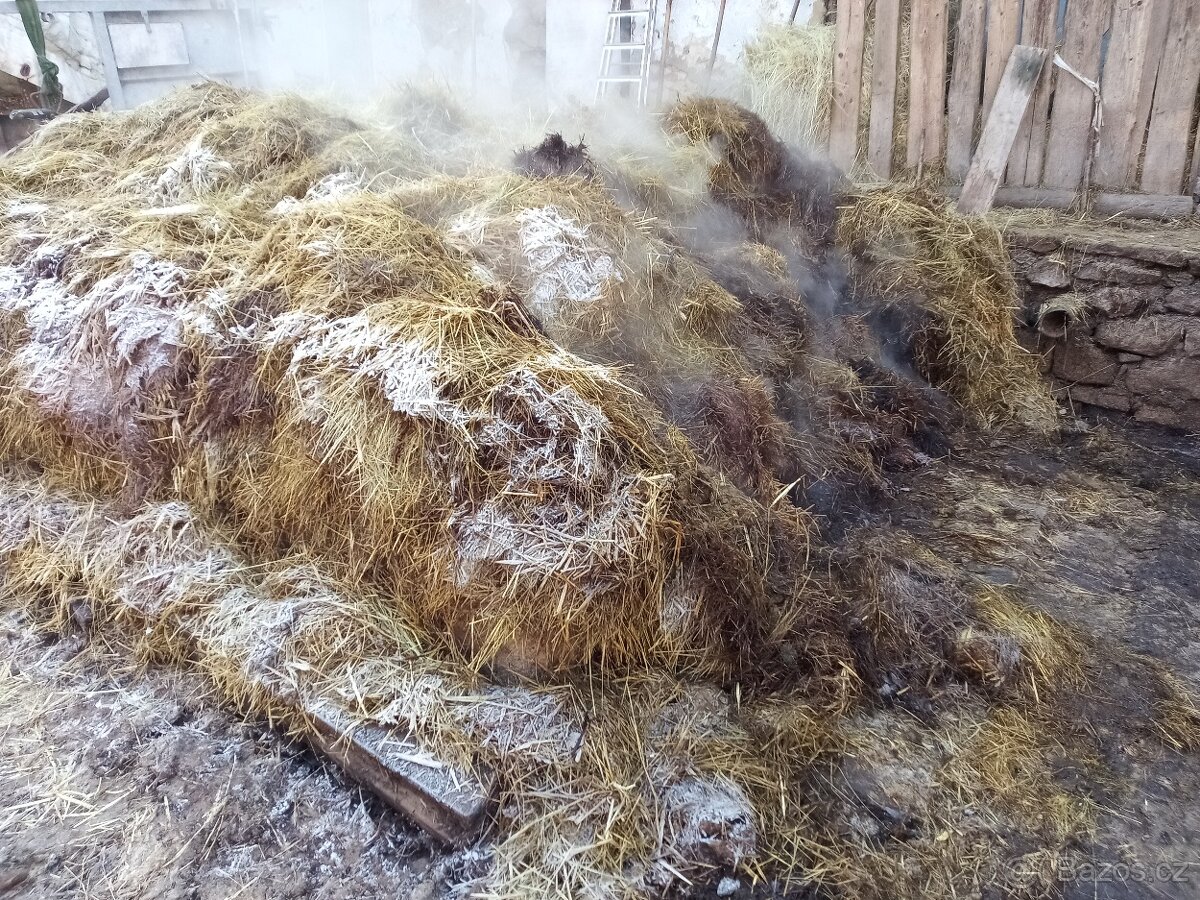 Kydání hnoje - 3