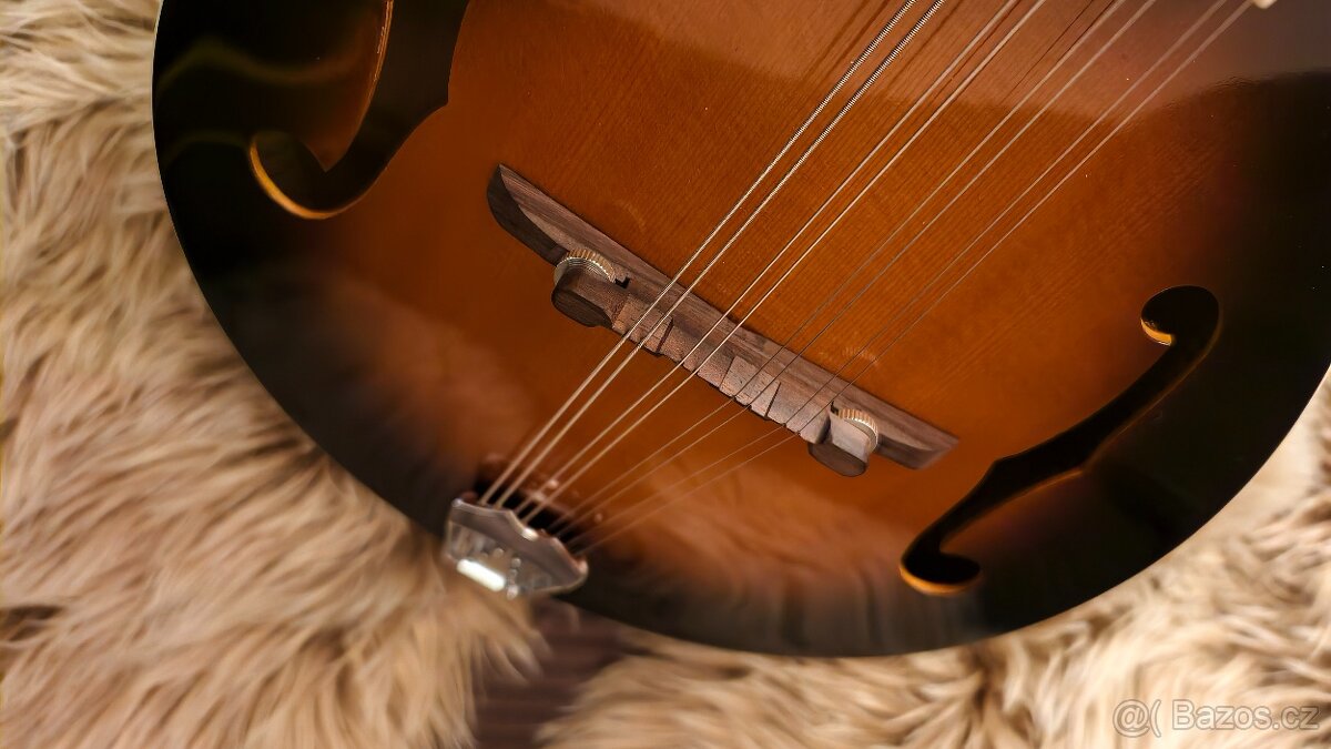 Mandolina Hohner - 3