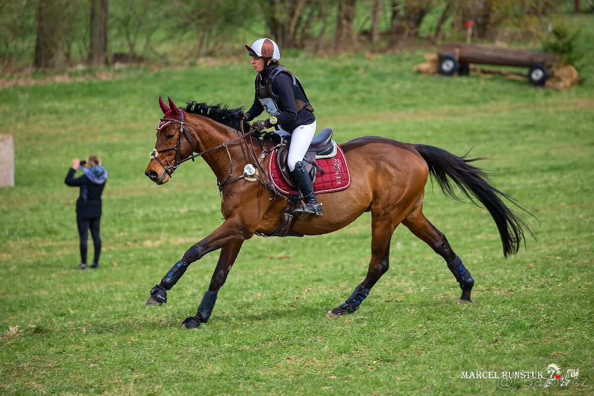 Ježdění za výpomoc - 3