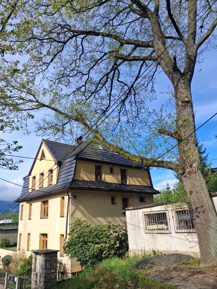 Dřevo - 3