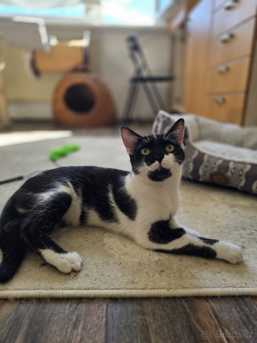 Bibi a Bobi - 3