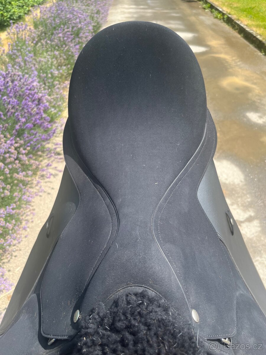 SEDLO WINTEC 2000 AP High Wither - 3