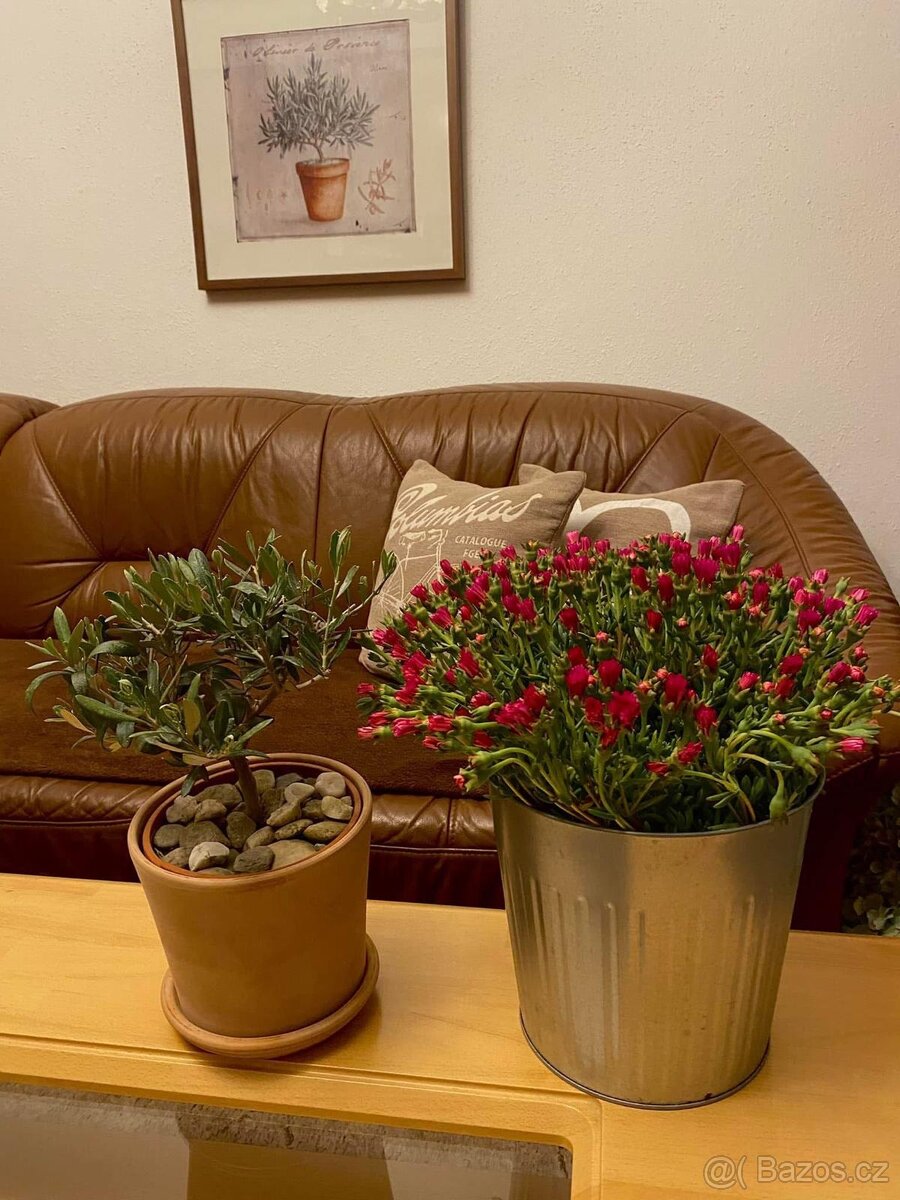 Rohová kožená sedačka hnědá - 3