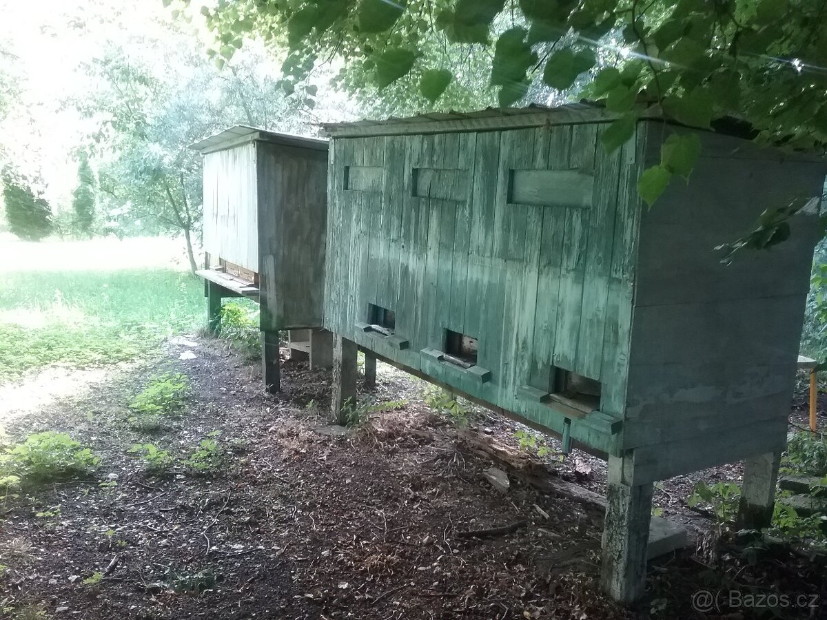 Med přímo od včelaře, Ledeč nad Sázavou - 3