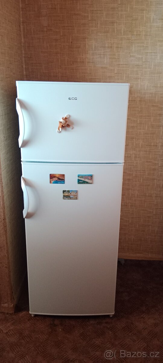 Lednice kombinovaná ECG - 3