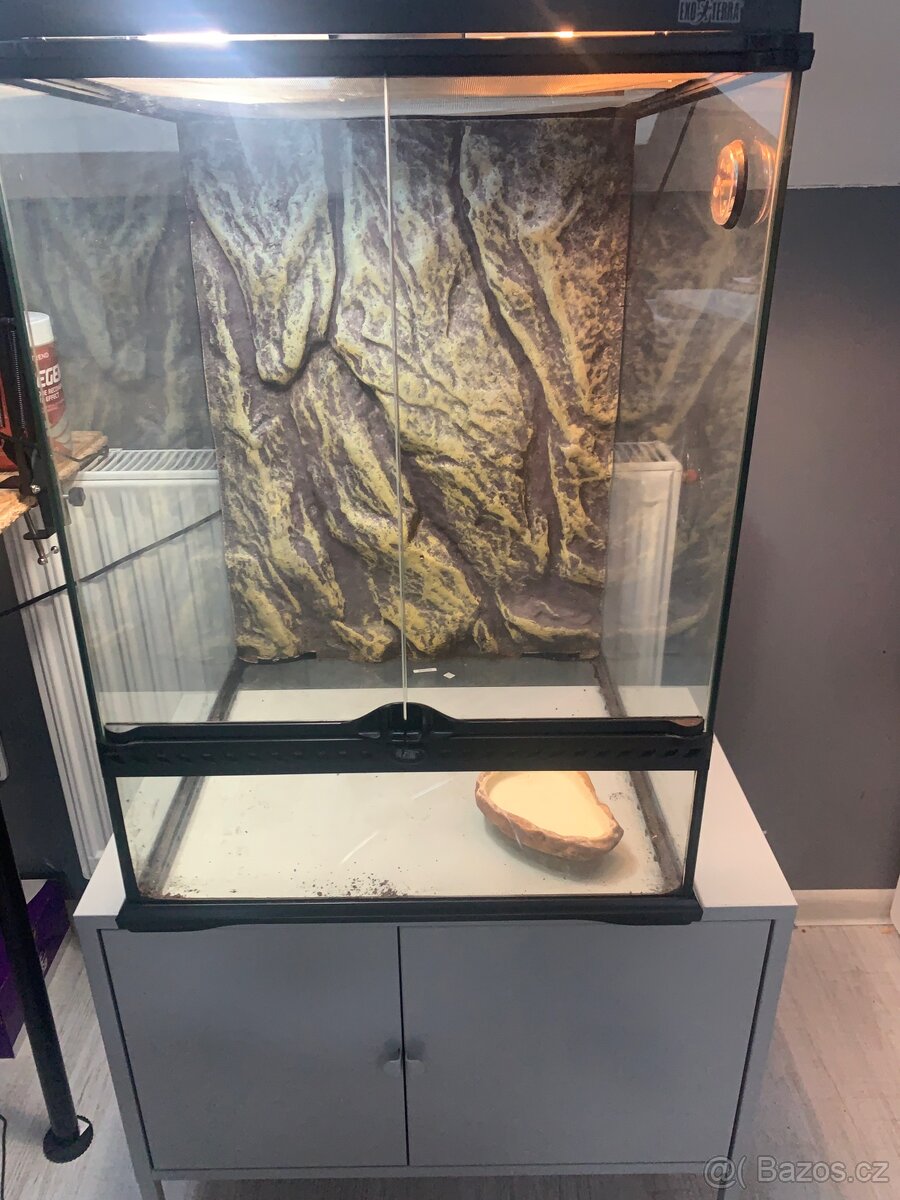 terarium - 3