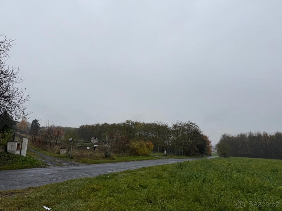 Prodej lesního pozemku v k.ú. Předonín - 3