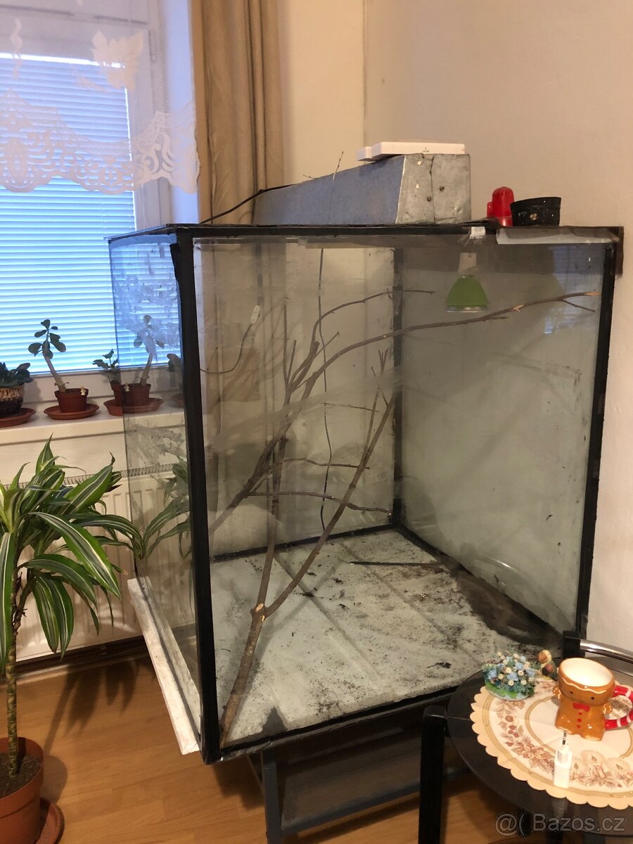 Terárium prodám - 3