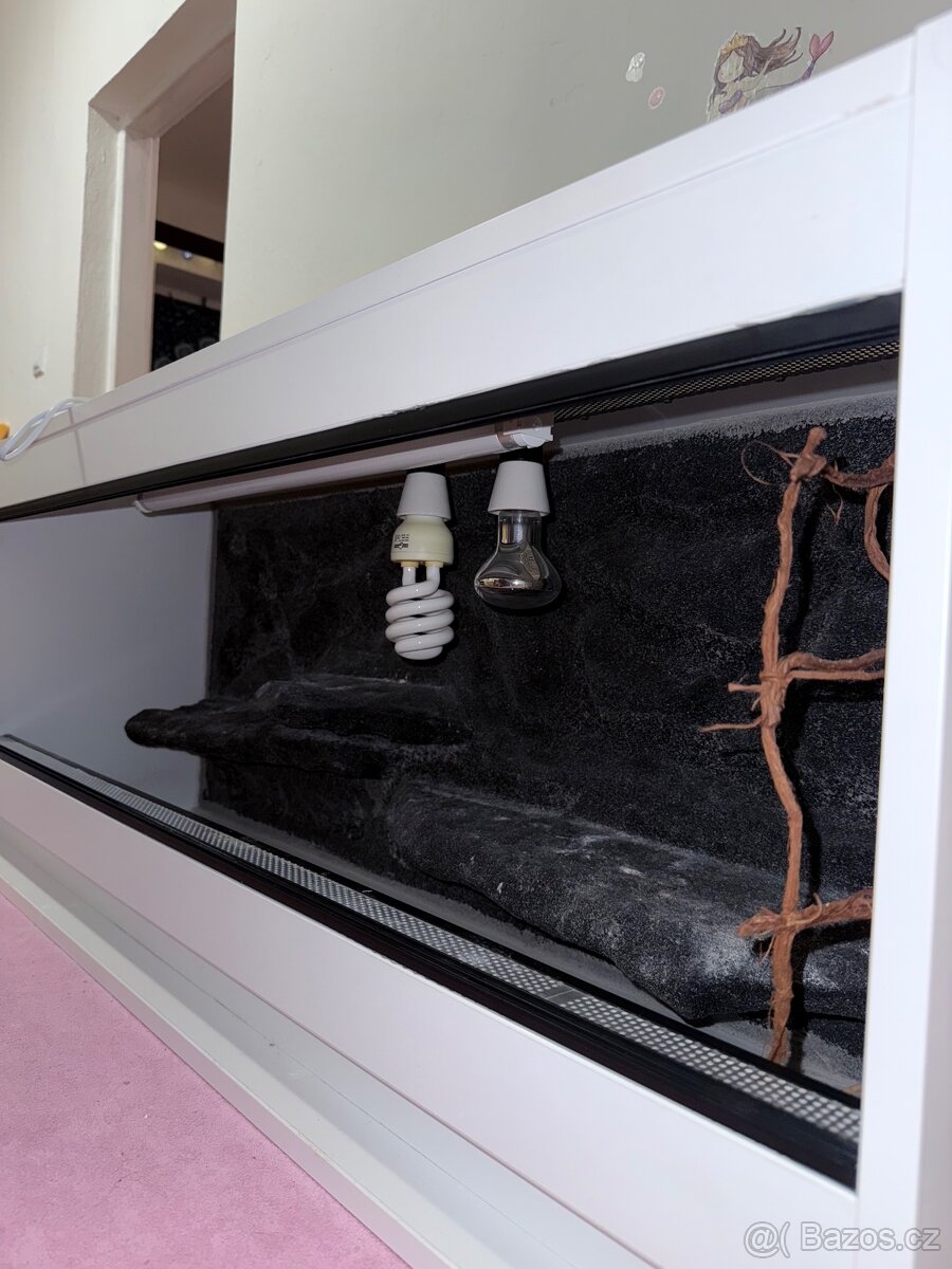 Zánovní terárium - 3