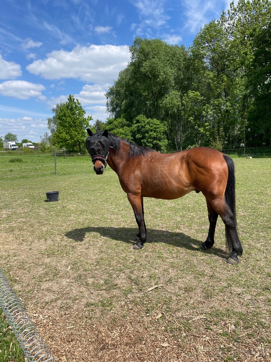 18-lety valach na rekreaci - 3