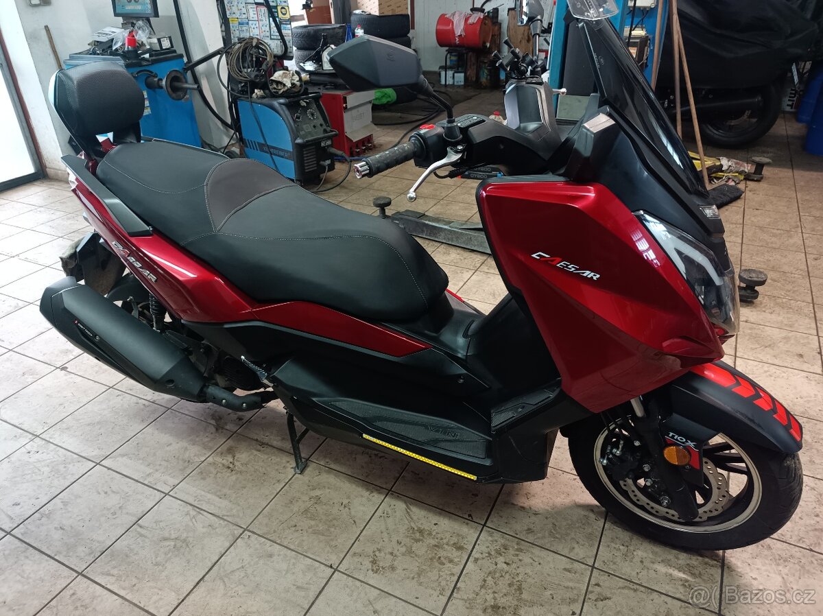 Maximus Caesar 125 - 3