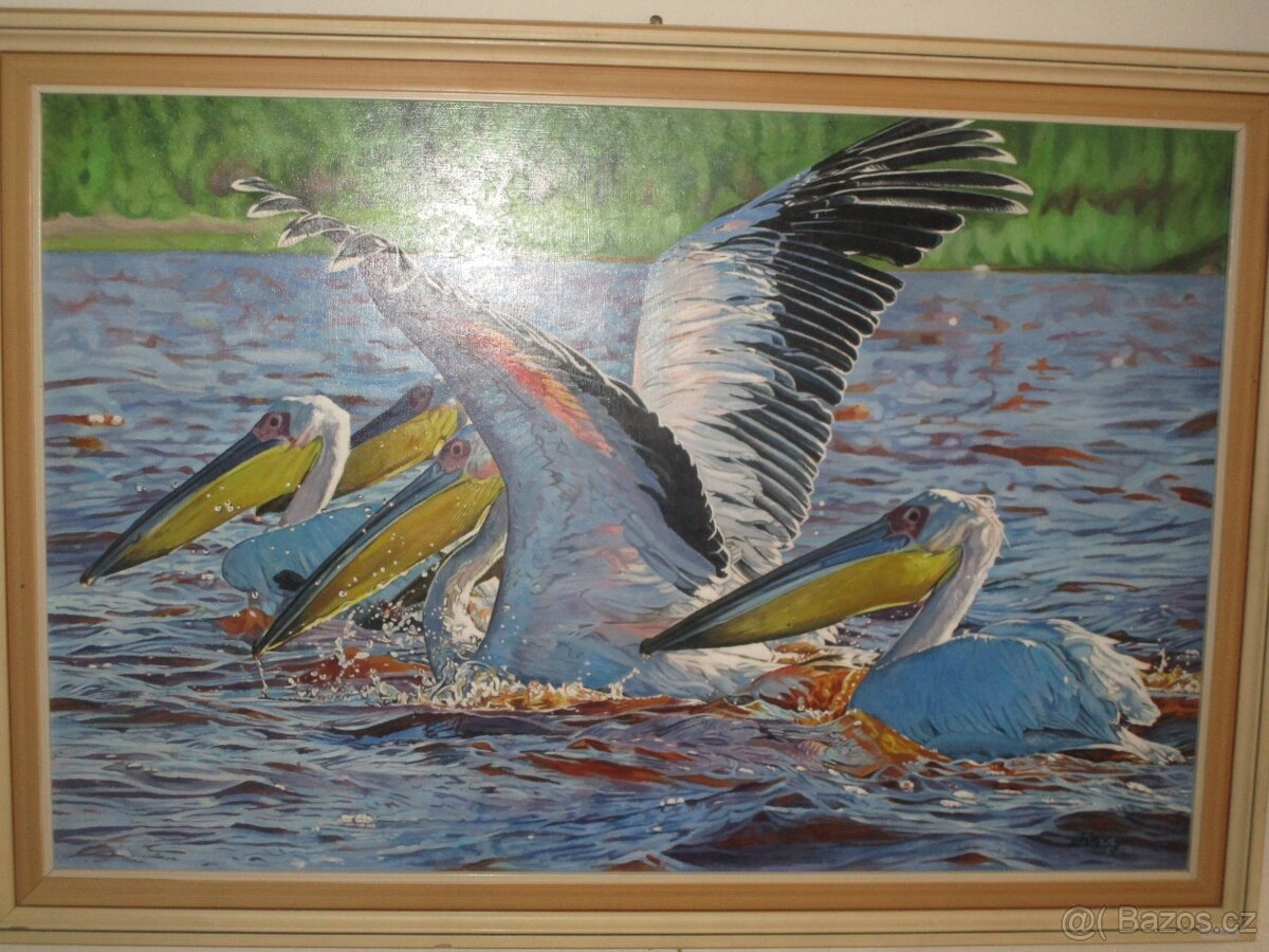 EXOTICKÁ ZVÍŘATA-OLEJOMALBA-RUČNI MALBA - 3