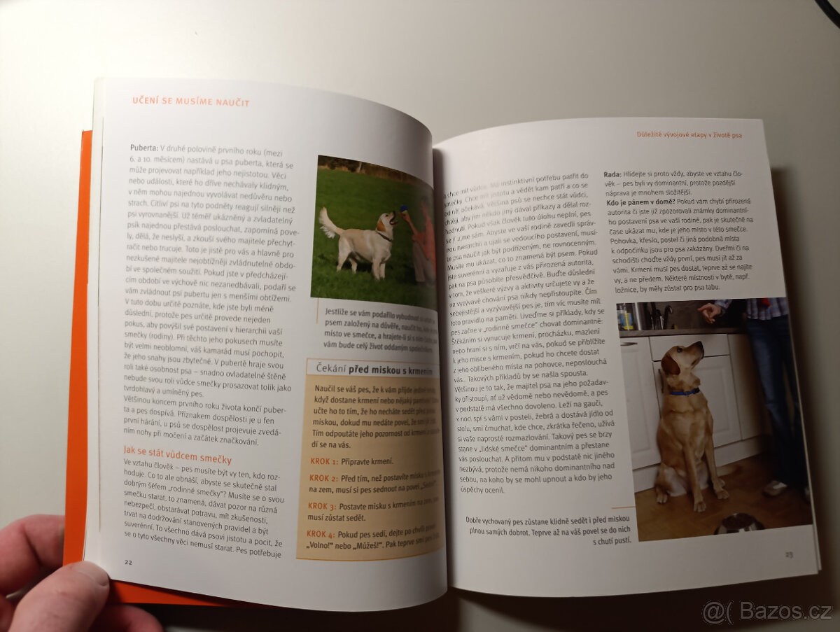 Výchova psa - 3