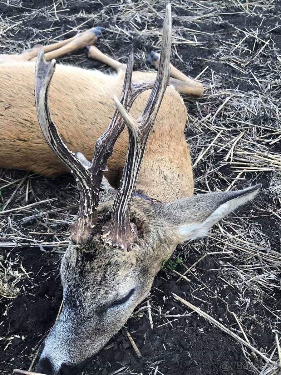 Polovačka v maďaesku - 3