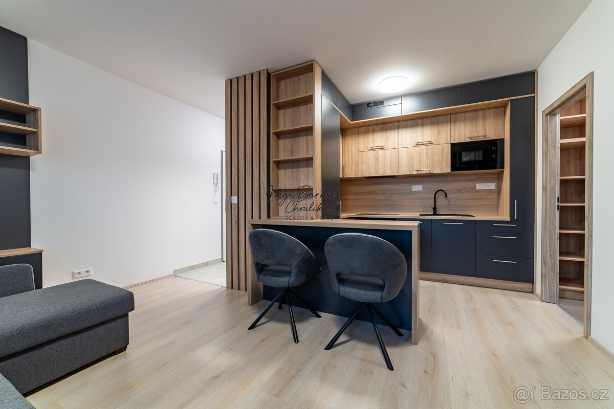 Pronájem novostavby 2+kk s balkonem a parkovacím místem, Zbů - 3