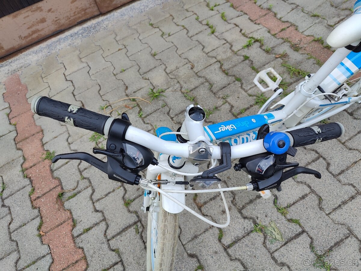 Dětské kolo Dino Bikes Aurelia 20 - 3