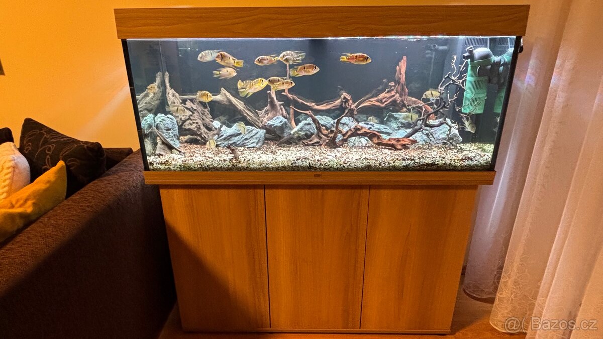 Akvarijní set Juwel Rio 240 dub světlý - 3