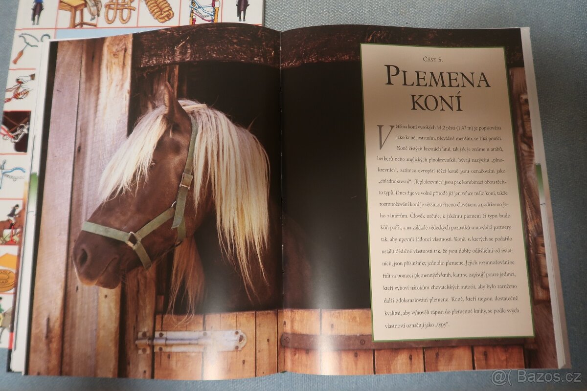Knihy o koních - 3