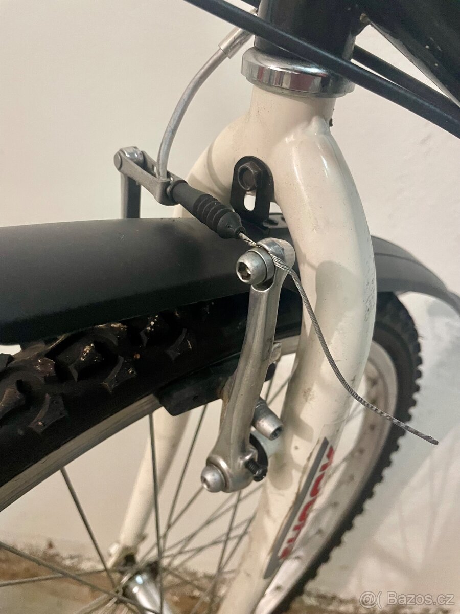 Kolo junior ‘24’ - 3