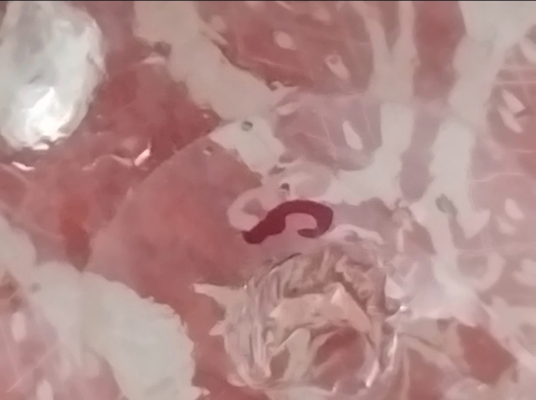 Karafa Biedermayer rubín.sklo r.1835 - 3