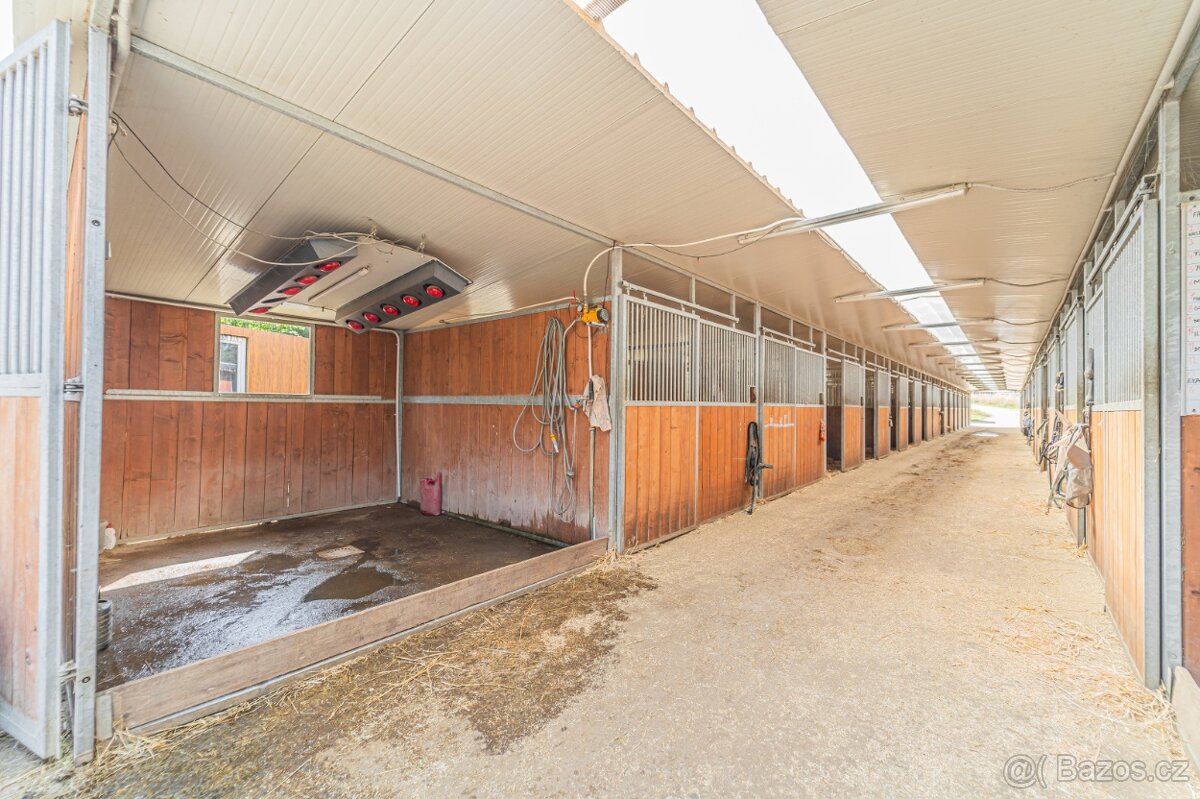 Ustájení koní – Telce u Peruce - 3