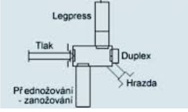 Multifunkční posilovací věž Sportex - 3