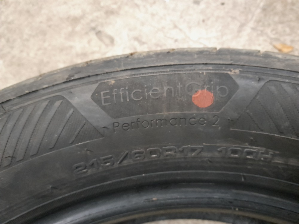 GOODYEAR EFFICIENTGRIP PERFORMANCE 2 - 3