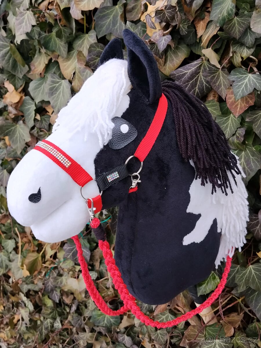 Hobby horse - 3