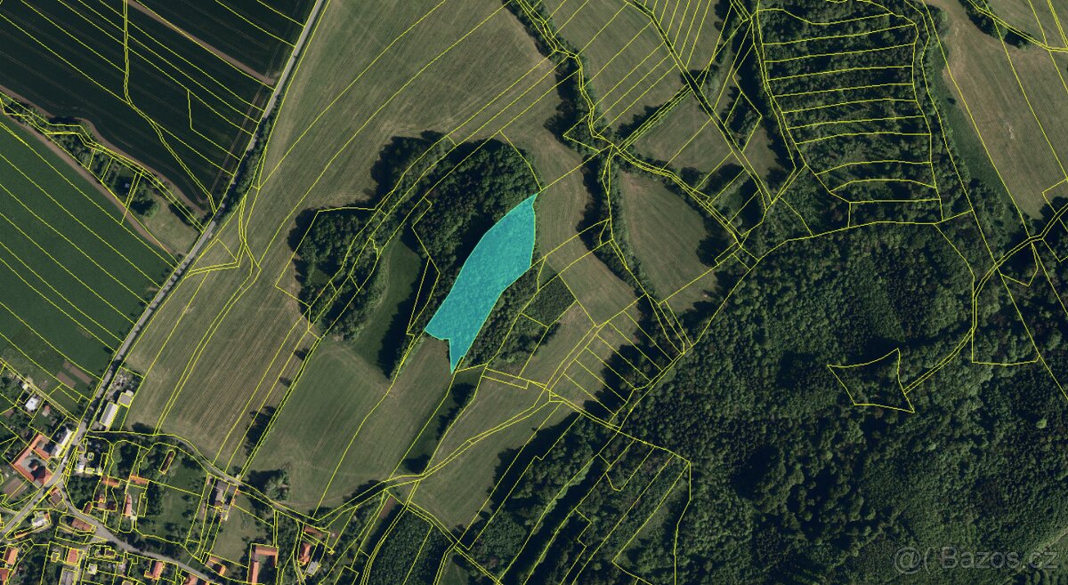 Prodám lesní pozemky v k.ú. Petřkovice u Starého Jičína - 3