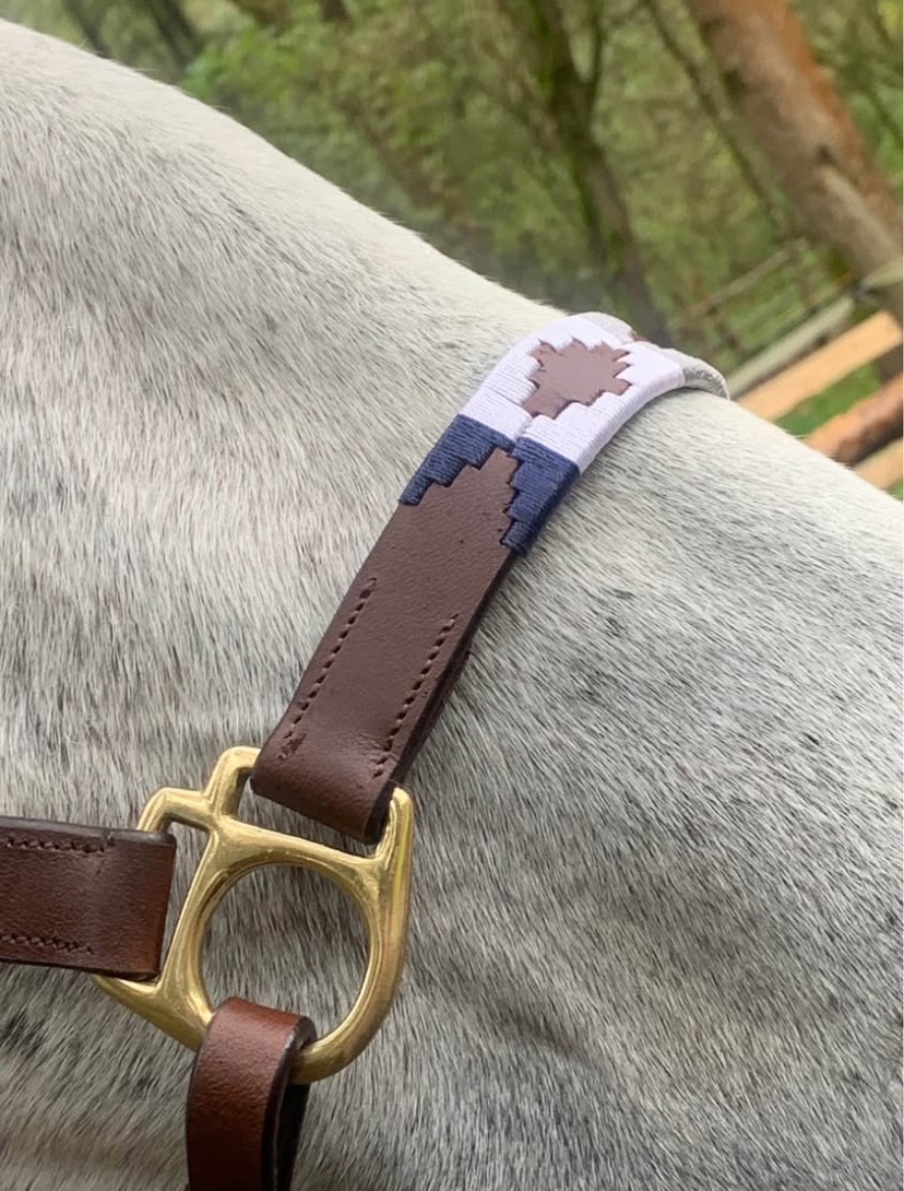 Kožená ohlávka - 3