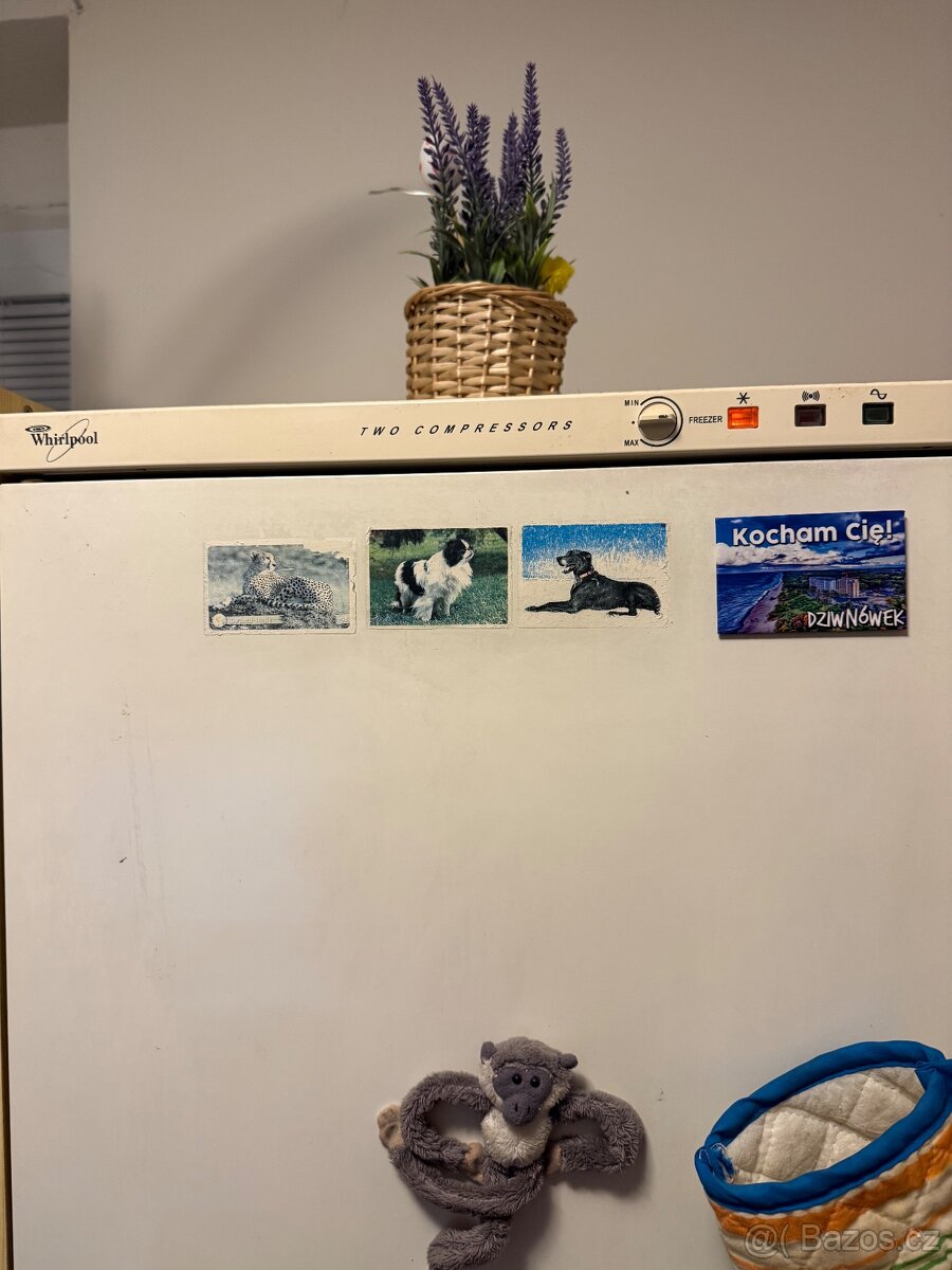 Lednice s mrazákem Whirlpool - 3
