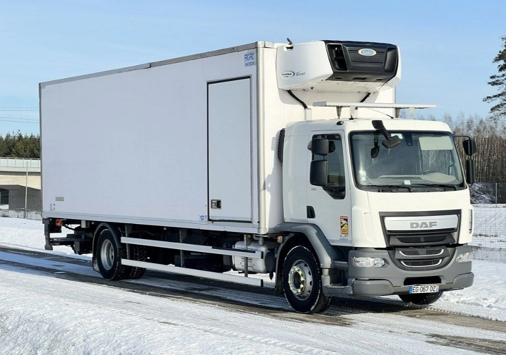 DAF LF 310 - 4x2 – Mrazák – EURO 6 - 3