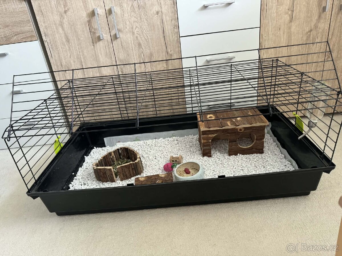 Prodám morčátko - 3