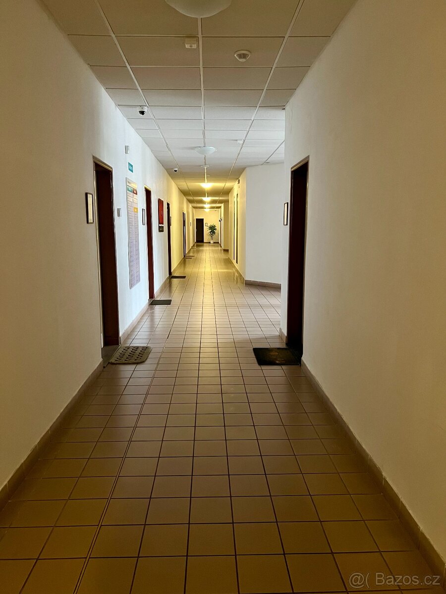 Pronájem kanceláře, 17 m2 - Bieblova - 3