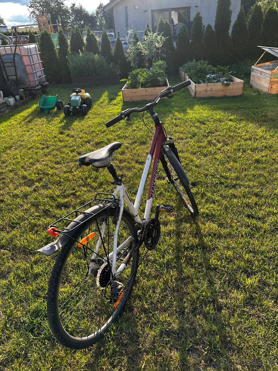 Dámské kolo Heavy Tools - 3