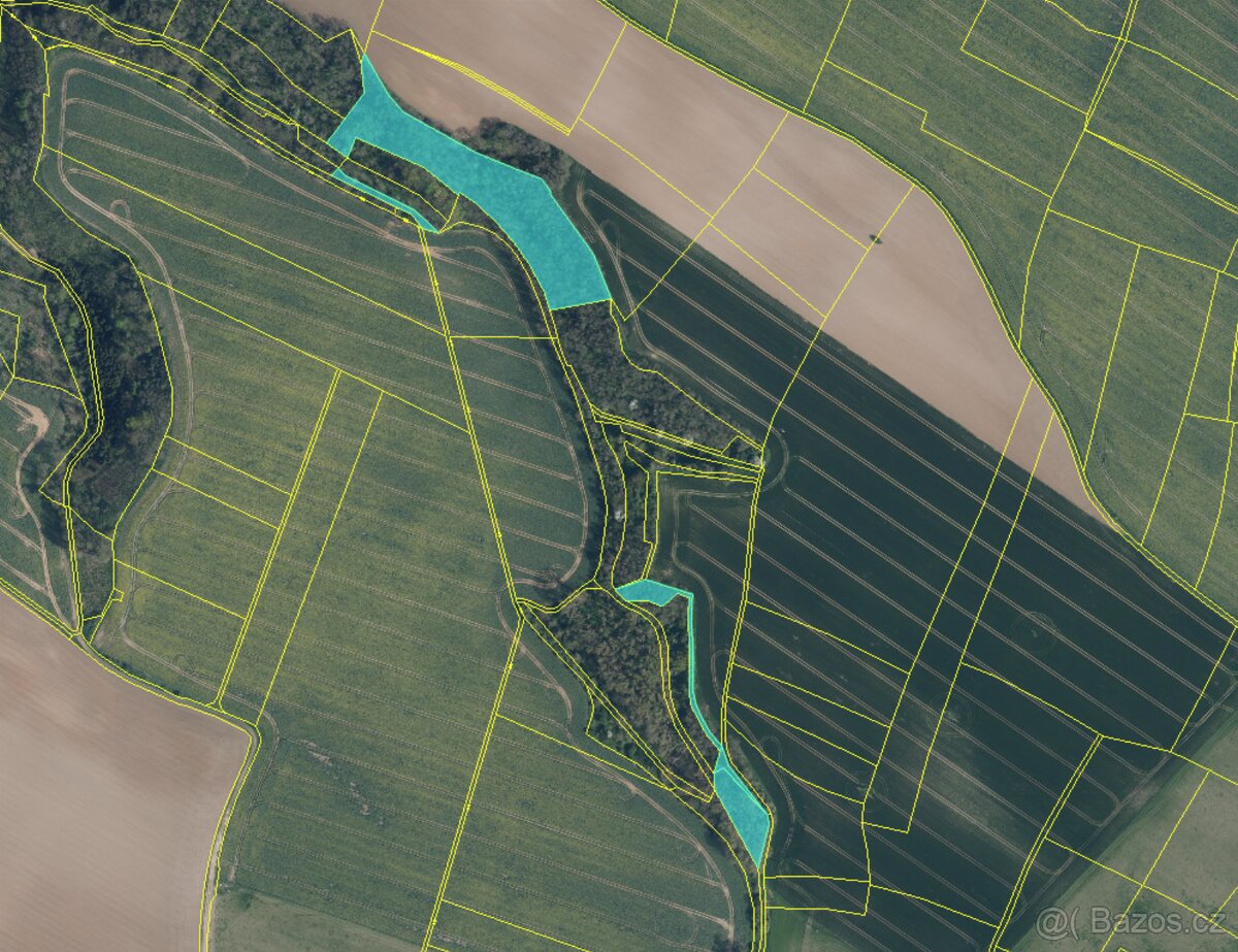 Prodám lesní pozemky v k.ú. Radouň - 3