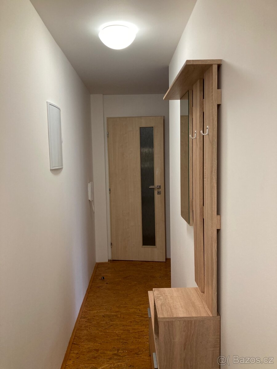 Pronájem bytu - 3
