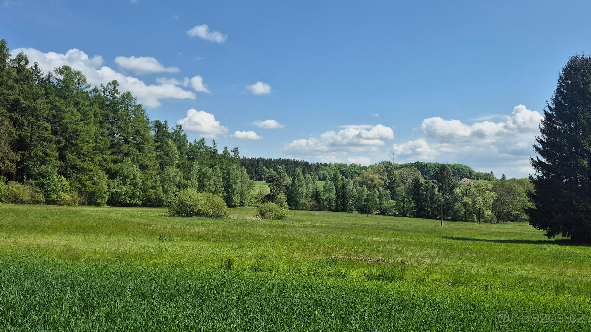 Prodej pozemku 5776 m2 v Borové u Poličky, okr. Svitavy - 3