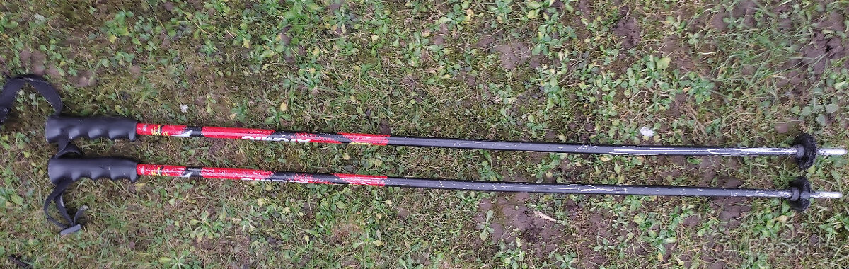 Sjezdové hůlky Atomic - 3