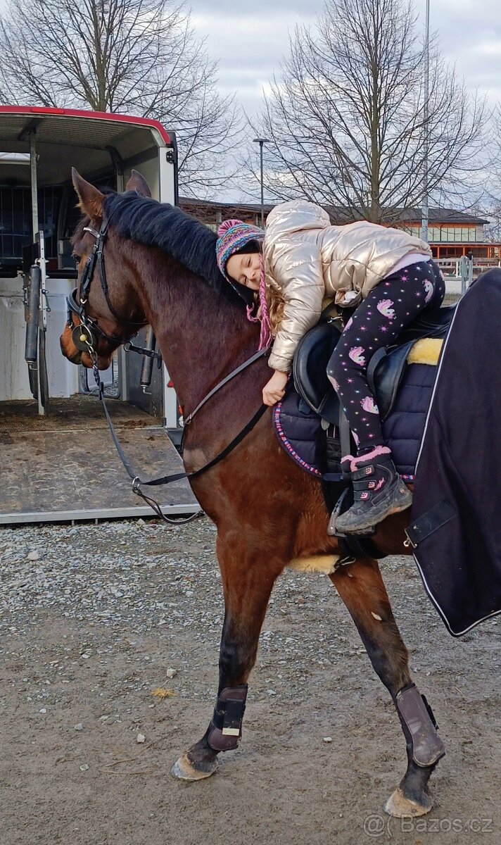 Moc hodný valach na prodej - 3