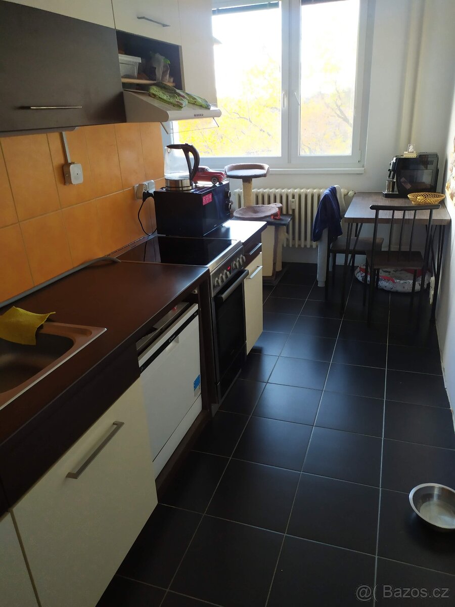 K pronájmu 2+1, Znojmo, MUDr. Jana Jánského, bez realitky - 3