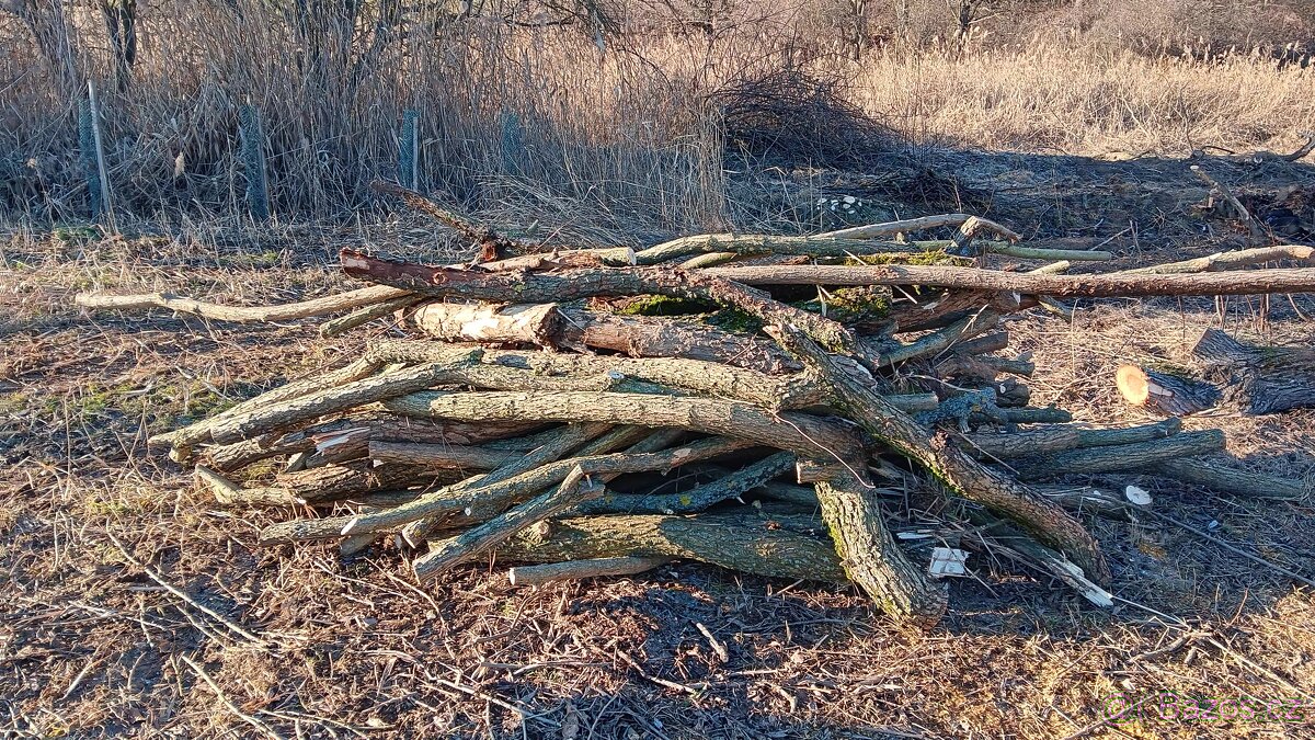Palivové dřevo - 3