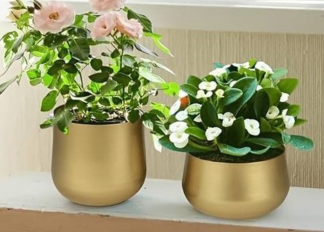 LUXUSNÍ OBAL NA KVĚTINÁČ - 3