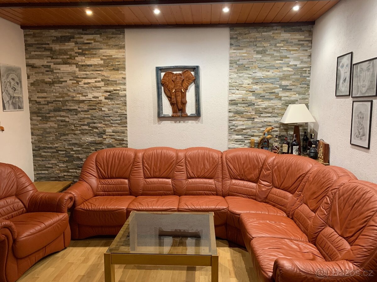 Koženâ sedačka rohová - 3