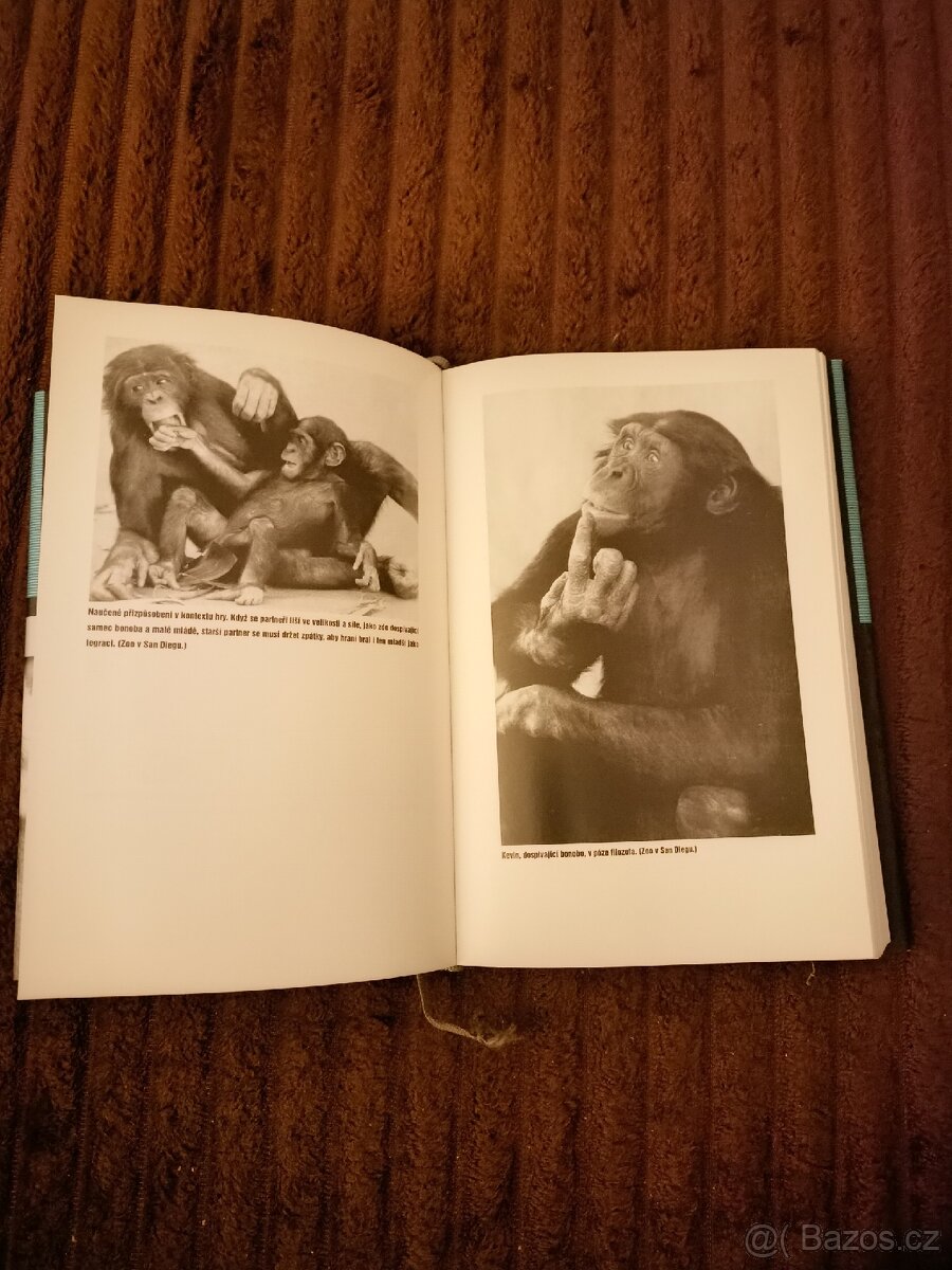 Dobráci od přírody - 3