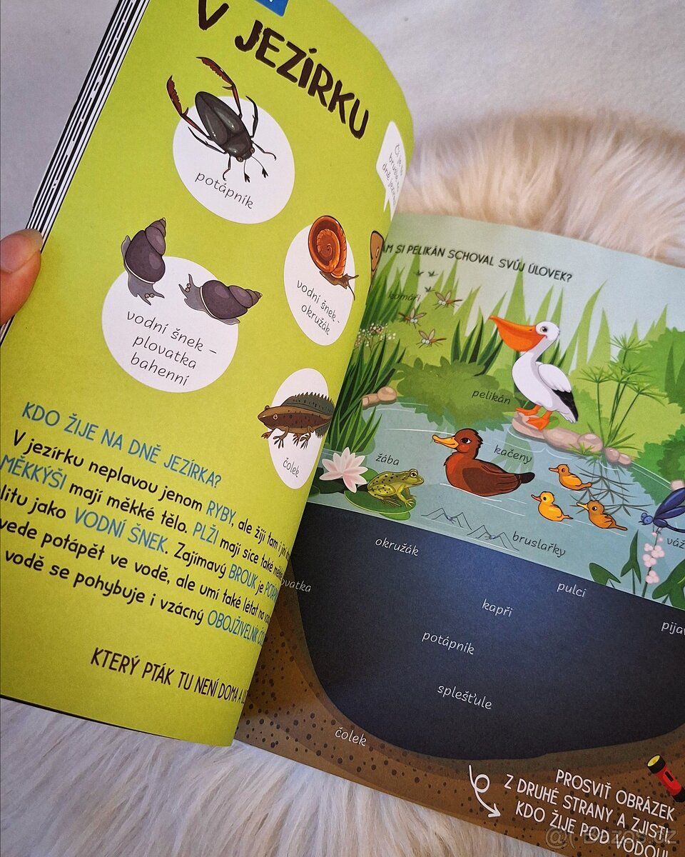 Prosvětlovačky sešit DRÁČEK 3-7 let - 3