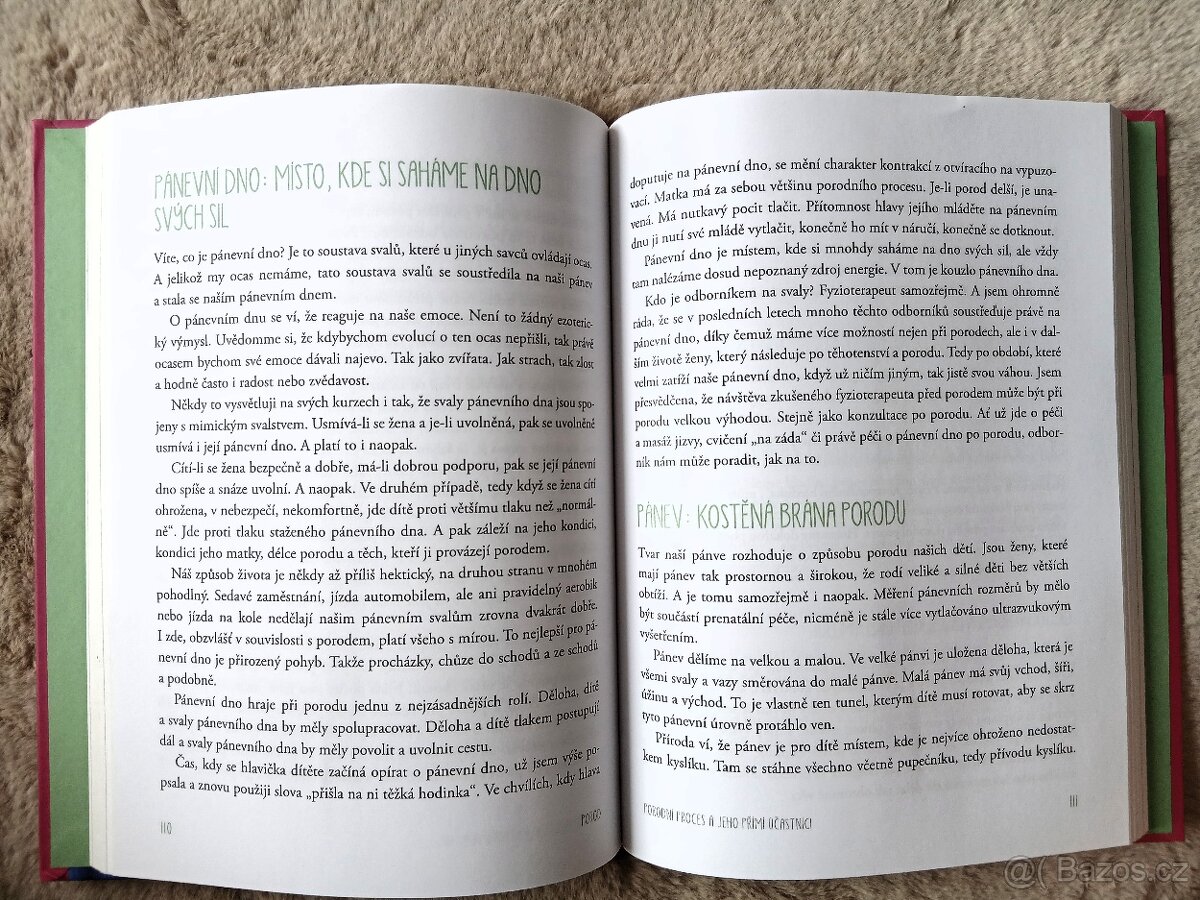 Vulvou porodní asistentky - 3